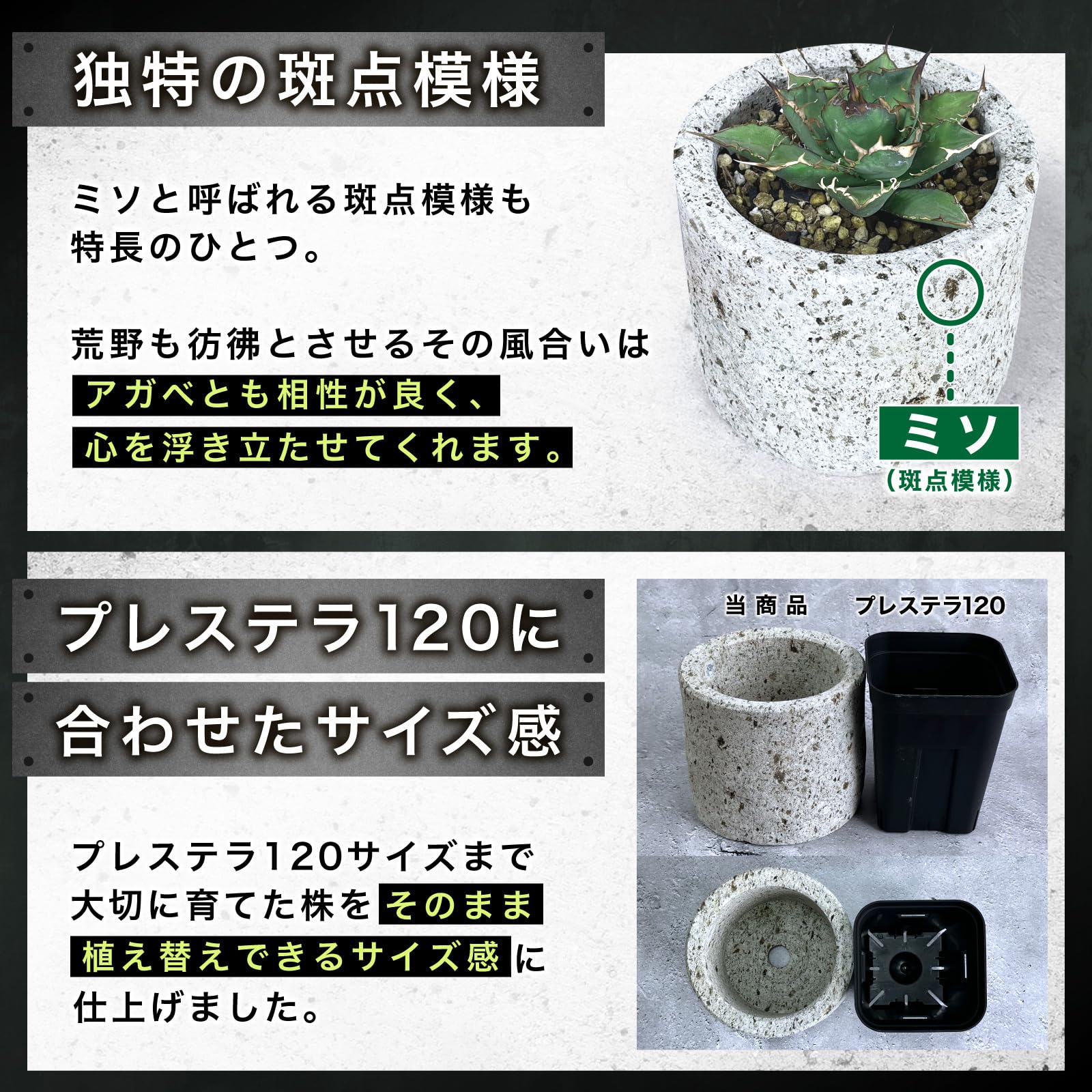 Amazon.co.jp: Kaiju Plant 大谷石 石鉢 Φ140mm x H120mm 0.7L アガベ